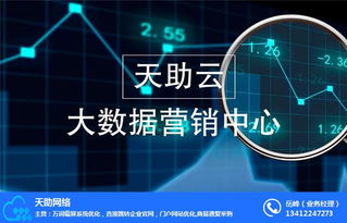 软件开发与关键词技术转让策略