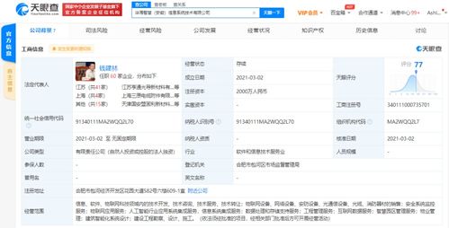 软件开发及技术转让 创新与价值的双轮驱动